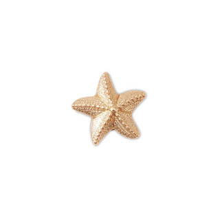 Crocs ukras Jibbitz Gold Star Fish