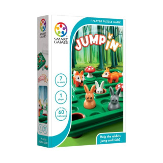 Igracka Smart games Iq link