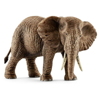 Africki slon zenka