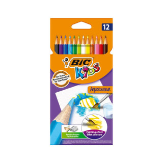 BIC drvene bojice AQUACOL 12/1