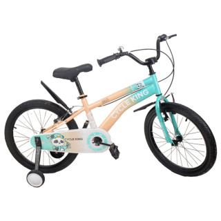 Cycle King biciklo BW-BM8 20" zeleno-rozo