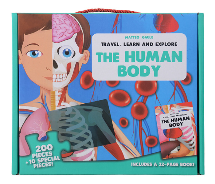 Igračka puzle ljudsko tijela