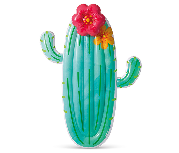 Intex dušek u obliku kaktusa