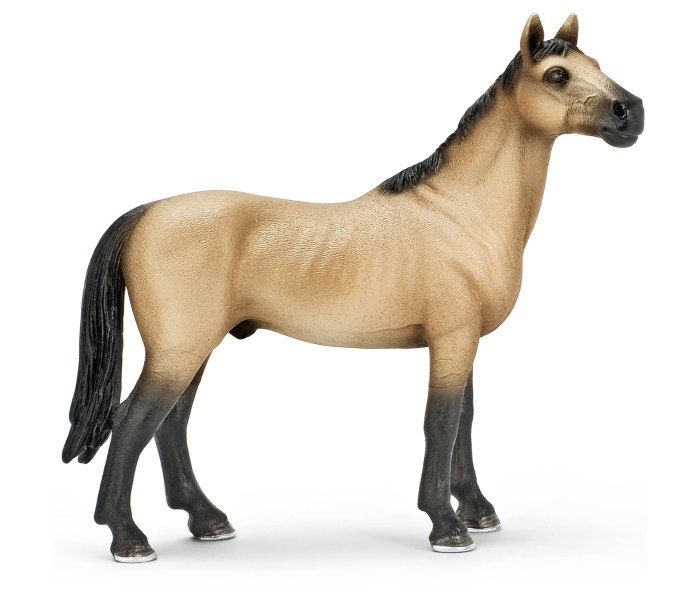 Akhal-teke pastuv