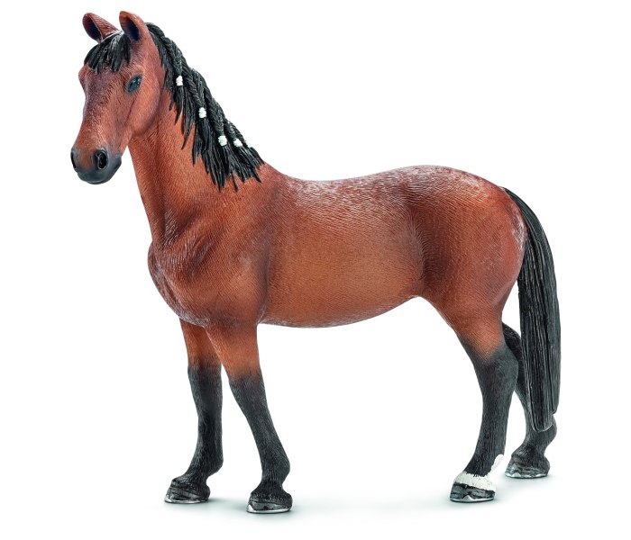 Trakehner kobila