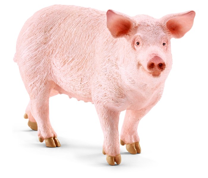 Svinja