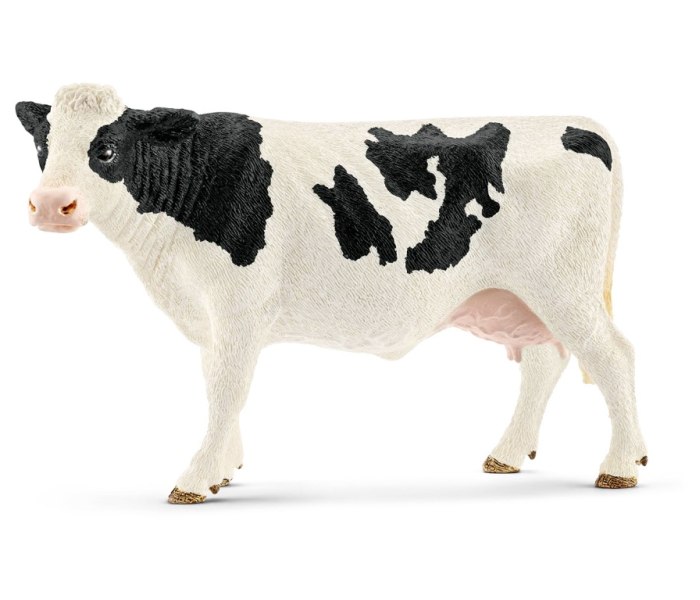 Holstein krava