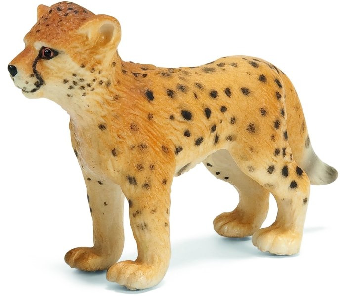Mali gepard