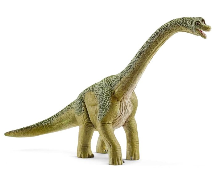 Brachiosaurus