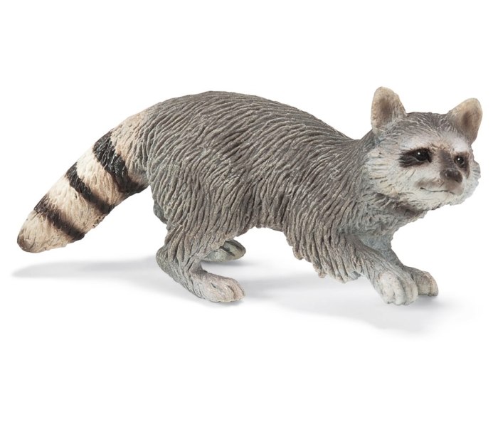 Rakun