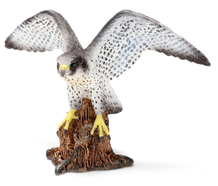 Orao peregrine