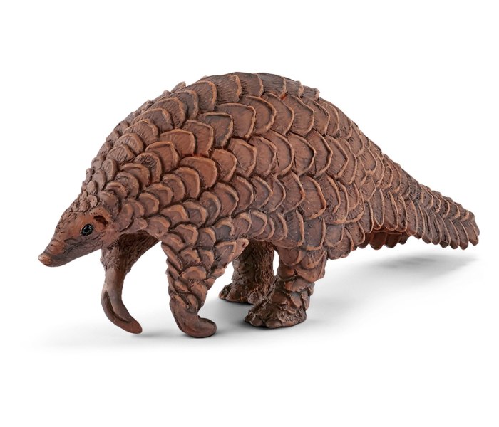 Giant pangolin