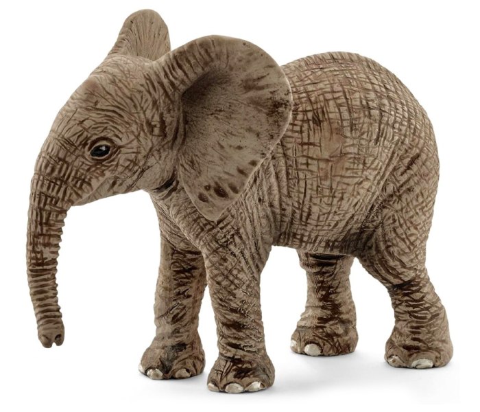 Afrički slon mladunče