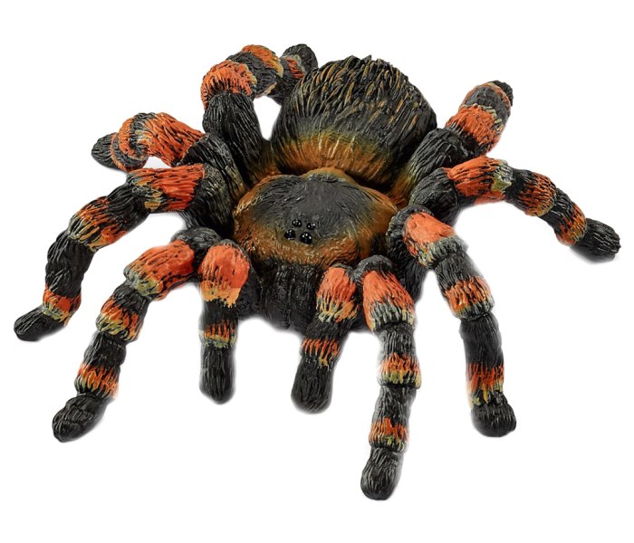 Tarantula