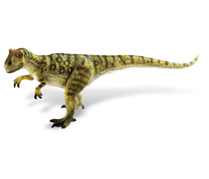 Figura alosarus