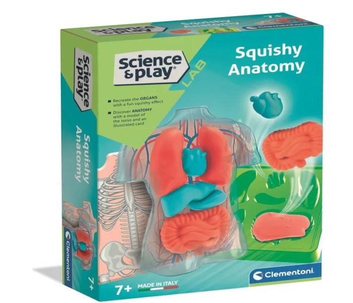 Igračka Clementoni science & play, Anatomia Squishy