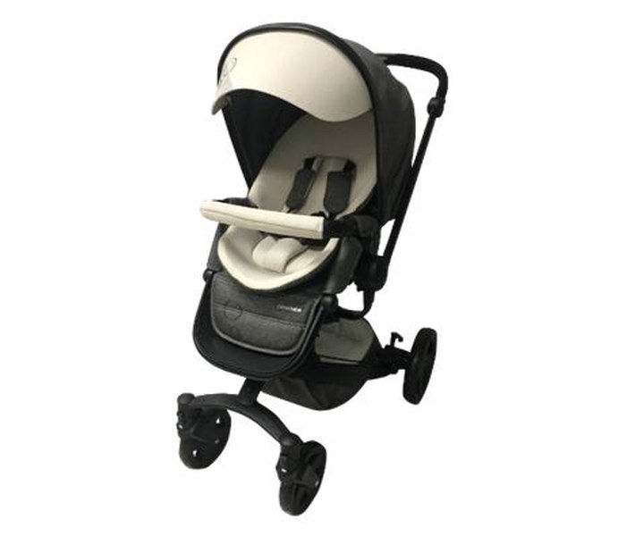Kolica 2 u 1 Latitud grey