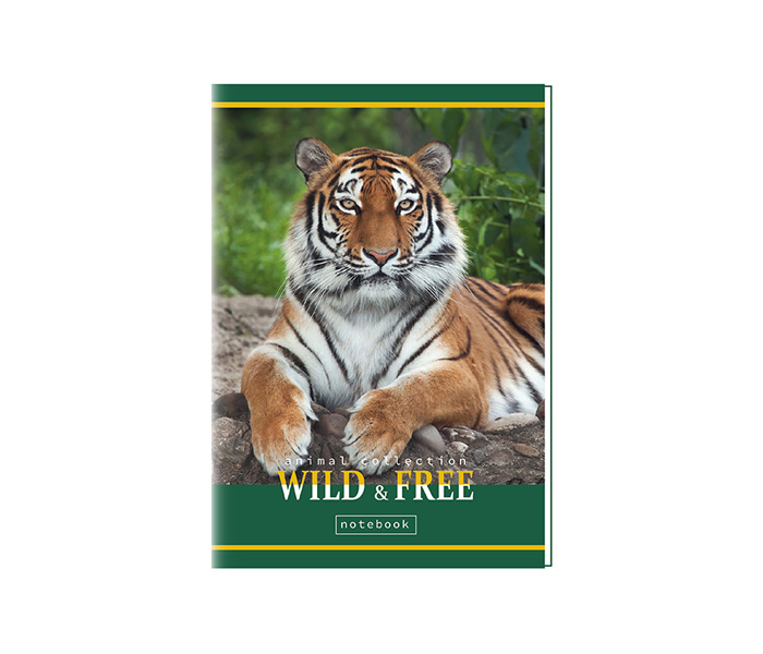 BIC sveska A5 52 lista na uske i široke linije