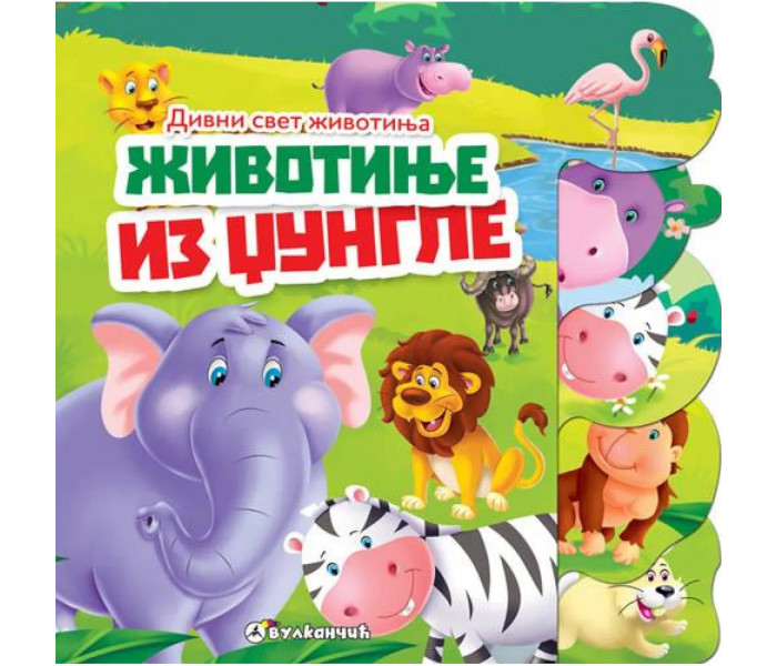 Divni svijet životinja - Životinje iz džungle