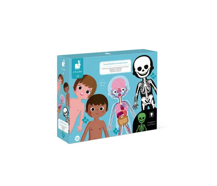 Igračka puzle - ljudsko tijelo