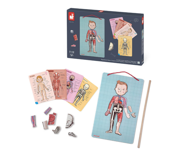 Igračka bodymagnet na 12 jezika