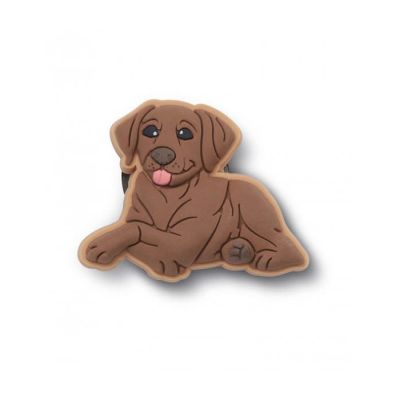 Crocs ukras Jibbitz Brown Lab Puppy