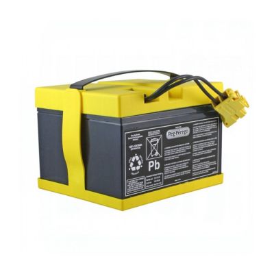 Akumulator Peg Perego 24V 8Ah