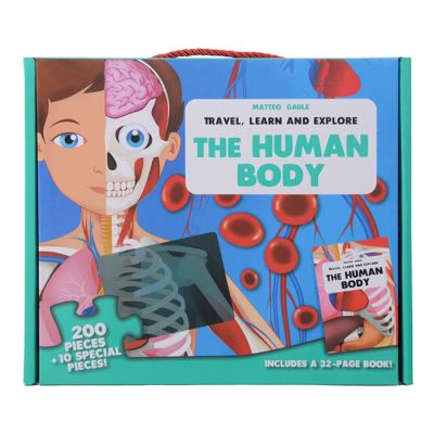 Igračka puzle ljudsko tijela
