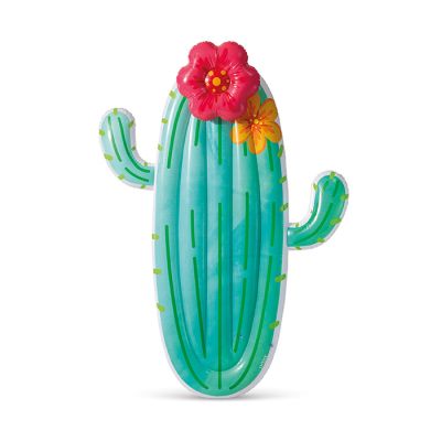 Intex dušek u obliku kaktusa