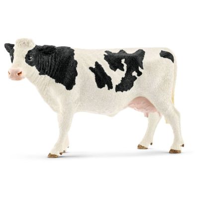 Holstein krava