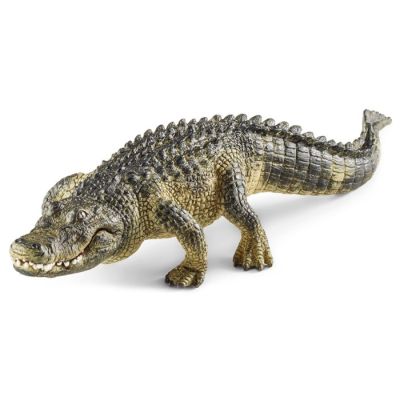 Aligator