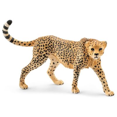 Gepard zenka
