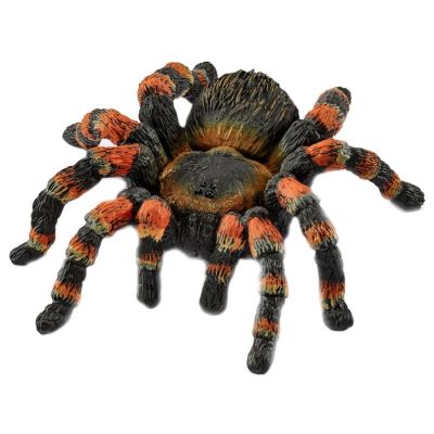 Tarantula