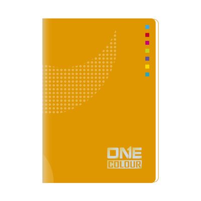 BIC sveska A4 52 lista dikto-linije Lux collection