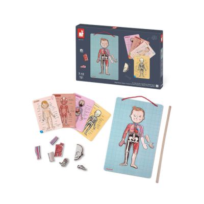 Igračka bodymagnet na 12 jezika