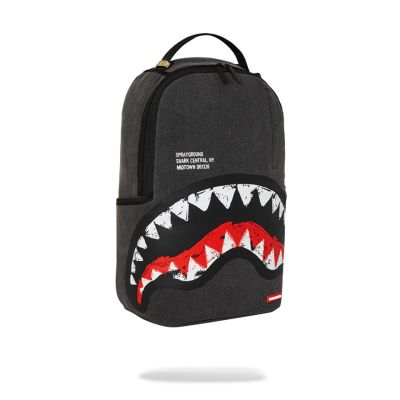 Ranac shark central painted